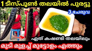 1 ടി സ്പൂൺ തലയിൽ പുരട്ടൂ ഏത് കഷണ്ടി തലയിലും മുടിമുളച്ച് മുട്ടോളം എത്തും 3 ചേരുവ