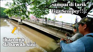 BANJIR LAGI,,,!!! potensi lagi, sampai nyangkut di pondasi jembatan patin ny