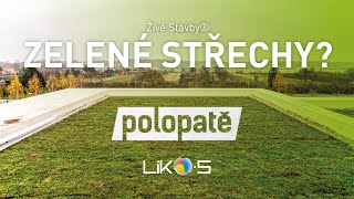 Zelené Střechy - vše co jste si přáli vědět | ČT1 POLOPATĚ | LIKO-S