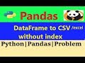 How to send data in csv/excel |DataFrame to csv| dataframe to csv without index |pandas dataframe