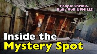 What Is the Mystery Spot? California’s Gravity-Defying Spot!