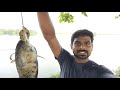 karimeen fishing kerala കരിമീൻ പിടിക്കാൻ ഒരു എളുപ്പ വഴി