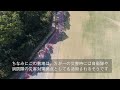 【大阪府南部で初】ドローンフィールド完成！クリケットグラウンドも！貝塚市ドローンフィールドを紹介！