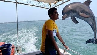 ഡോൾഫിനുകളെ കാണാൻ ഒരു ബോട്ട് യാത്ര.../a boat trip to see dolphin ../ Malayalam/RYAN ROCKS/