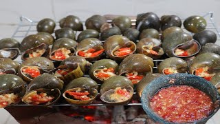 ខ្យងអាំងឆ្ងាញ់មែនទែន/ Survival Cooking! Grilled Snails With Fish Sauce Recipe​ In My Village