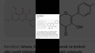 Bioxin Forte Serum ve Bioxin Quantum Serisi İçeriği, Farkı ve Potansiyeli Nedir?