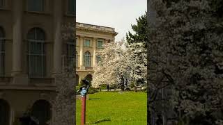 Springtime in Bucharest, Romania | The Royal Palace