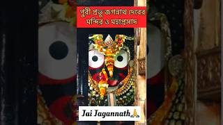 ಪುರಿ ಜಗನ್ನಾಥ ದೇವಾಲಯ | ಮಹಾಪ್ರಸಾದ್ #ಪುರಿ #ಮಹಾಪ್ರಸಾದ್ #ಜಗನ್ನಾಥ #ಜಗನ್ನಾಥಮಂದಿರ