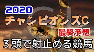 2020チャンピオンズカップ 最終予想★3頭で射止める競馬