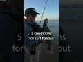 5 conditions for surf halibut