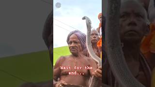 Look at this Indian snake handler 🫡snake church#shorts #ytshorts #topwildlifeplanet