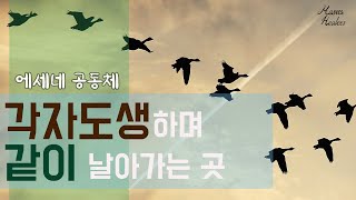 [에세네 공동체]무리 지어 날아가는 법ㅣ안으로 들어가서 위로 도약하여 앞으로 나아가는 것