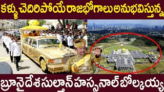 అతిపెద్ద పాలస్ వేలాది లగ్జరీ కార్లతో విలాసవంత జీవితం అనుభవిస్తున్న రాజు.! ఆస్తుల వివరాలు తెలిస్తే