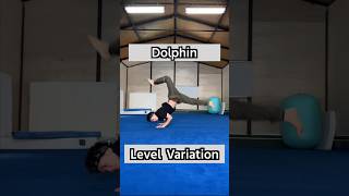 Dolphin level variation ドルフィン レベルバリエーション