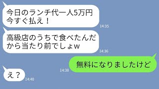 【LINE】飲食店経営のママ友がランチに5万円の高額支払いを請求「うちは高級店なのw」→ネコババを企む女にある事実を伝えた時の反応【スカッとする話】