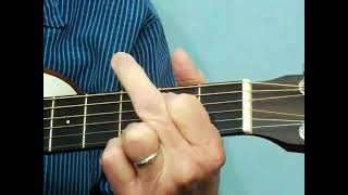 4 Chord Guitar Method for Beginners | Adult Guitar Lessons