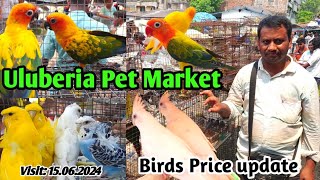 Cockatiel, Sun Conure, JP Budgies, Finch Bird's price update at Uluberia pet market #pets #trending