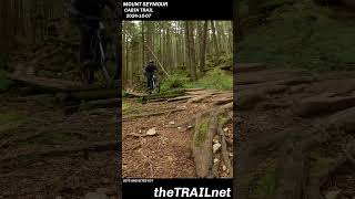 Mount Seymour Trail: Cabin Trail #mtb #mountainbike #mtblife