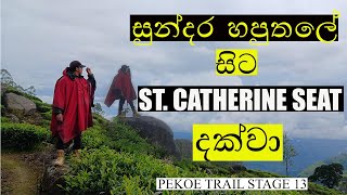 Haputhale to St. Catherime Seat | Pekoe Trail Stage 13 | සුන්දර හපුතලේ නොදුටු දසුන් සොයා | 13.5 km |