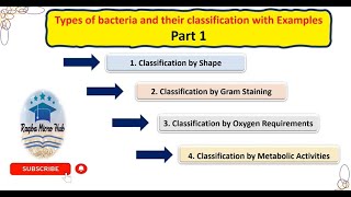 Types of bacteria | Classification of bacteria | Examples #part1 #bacteriology #classification