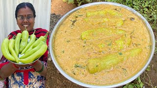 பஜ்ஜி மிளகாயில் இப்படியும் செய்யலாமா ? - Bajji Milakaai Gravy / பஜ்ஜி மிளகாய் குழம்பு / Village Cook