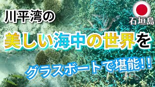 【石垣島Vol.2 / 一人旅Vlog】川平湾で、珊瑚礁も熱帯魚も目の前で見れる、美しい海中の世界をグラスボートで堪能！！ まりんはうすぐるくん 2022年4月 Okinawa Ishigaki