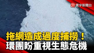 拖網造成過度捕撈！環團盼重視生態危機 @globalnewstw