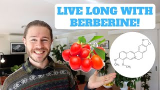 Berberine For Living Longer