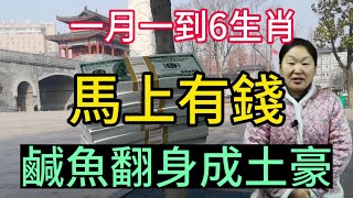 1月一到！這6大生肖！貴人指路！鈔票如雨！馬上有錢！鹹魚翻身成土豪！睜眼閉眼都是鈔票！#運勢 #生肖 #2024