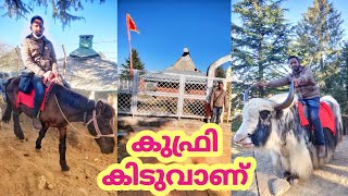 Ep 09: കുഫ്രി കിടു ആണ് Kufri near Shimla, Himachal Pradesh | Low Budget North India Trip from Kerala