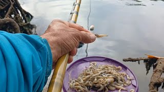 FIZ UM TESTE NA PESCARIA COM BOIA E SEM A BOI I OLHA SÓ O QUE DEU