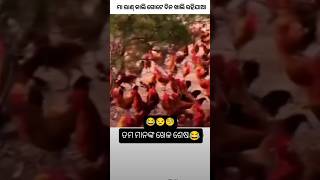 ତମ ଭାଗ୍ୟ😂 ଭଲ ଆଜି ସଂକ୍ରାନ୍ତି 😒ପଡ଼ି ଯାଇଛି😂 ବାସ୍ କାଲି😐 ଯାଏ ରହିଯାଅ🧐🤣#odiajhia #arpita #chadakhai #odiayt