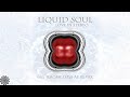 Liquid Soul - Love In Stereo