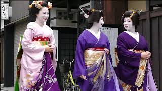 Geiko and maiko gathered in colorful kimono for first visit Gion Kobu / 2024