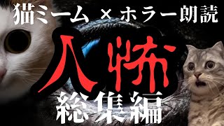 【総集編/作業用】人間の狂気を感じる洒落にならない怖い話【猫ミームホラー×ゆっくり朗読】#猫マニ #怖い話 #朗読 #体験談