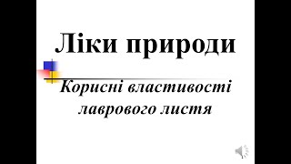 Корисні властивості лаврового листя