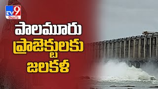 ఎగువ కురుస్తున్న వర్షాలకు జలకళను సంతరించుకున్న జూరాల ప్రాజెక్ట్  -  TV9