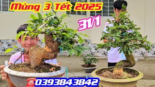 #Khai Trương Mùng 3 Tết 2025 #0393843842, Báo giá Lô Siêu Bông Bình Lợi,Nhị Ngọc Toàn @cscanthohg