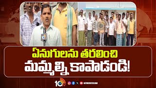 ఏనుగులను తరలించి మమ్మల్ని కాపాడండి  | Manyam District Public Request | AP News | 10Tv News