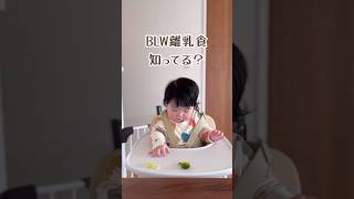 6ヶ月から手づかみ食べのBLW離乳食って何？ #BLW離乳食 #離乳食 #離乳食初期