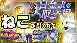 FFRKガチャ実況 FF9イベ「白金求め眠らぬ街へ」連動装備召喚 第1弾　ビビ新チェイン狙いでガチャねこさんの神引き！？