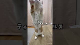 まるで…#１