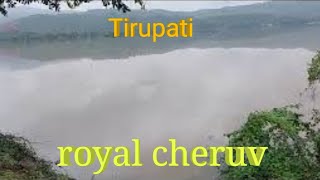 Tirupati rayala cheruvu full water | #Rayalacheruvu full water effect near villages