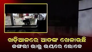 ଖଡ଼ିଆଳ ସହରରେ ଆତଙ୍କ ଖେଳାଉଛି, ଜଙ୍ଗଲୀ ଭାଲୁ ଭୟରେ ଲୋକେ I #nuapada #odishakhabara