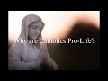 Why are Catholics Pro Life?