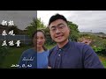 新西兰打工人的日常一天（harold vlog 600）