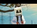 1 Hour Marshmello - Blocks