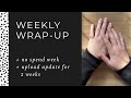 Weekly Wrap-Up ☑️  No Spend Week | Upload Update for the next 2 weeks | Cash Envelope System