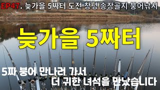 EP47. 늦가을 5짜터 도전 | 창녕 | 송장골지 | 관동지 | 한방터 | 붕어낚시 | Crucian Carp Fishing