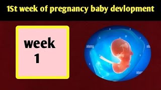 1 week గ‌ర్భం వ‌చ్చేముందు క‌నిపించే ల‌క్ష‌ణాలు|Early Signs of Pregnancy|Pregnancy Symptoms in Telugu